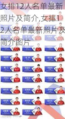 女排12人名单最新照片及简介,女排12人名单最新照片及简介图片