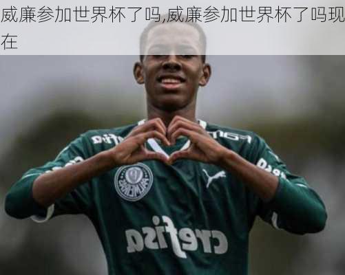 威廉参加世界杯了吗,威廉参加世界杯了吗现在