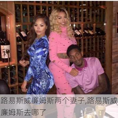 路易斯威廉姆斯两个妻子,路易斯威廉姆斯去哪了