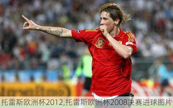 托雷斯欧洲杯2012,托雷斯欧洲杯2008决赛进球图片