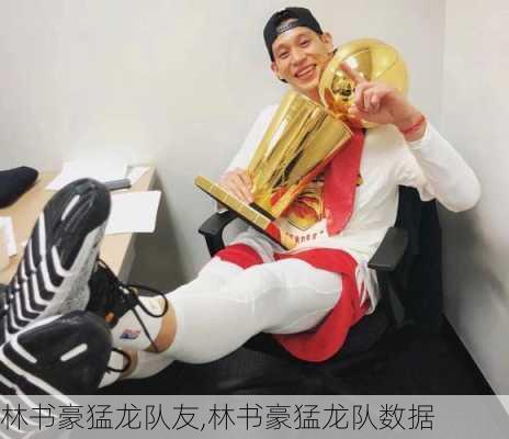 林书豪猛龙队友,林书豪猛龙队数据