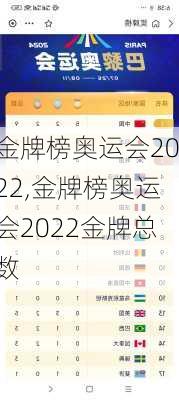 金牌榜奥运会2022,金牌榜奥运会2022金牌总数