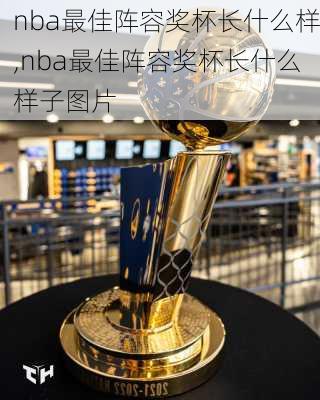nba最佳阵容奖杯长什么样,nba最佳阵容奖杯长什么样子图片