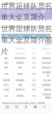 世界足球队员名单大全及简介,世界足球队员名单大全及简介图片