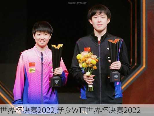 世界杯决赛2022,新乡WTT世界杯决赛2022
