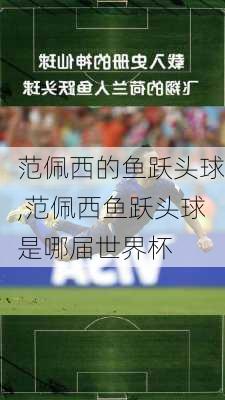 范佩西的鱼跃头球,范佩西鱼跃头球是哪届世界杯