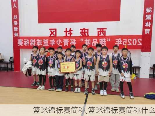 篮球锦标赛简称,篮球锦标赛简称什么