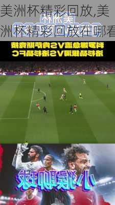 美洲杯精彩回放,美洲杯精彩回放在哪看