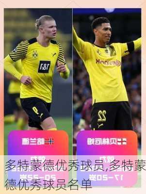多特蒙德优秀球员,多特蒙德优秀球员名单