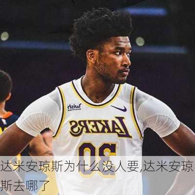 达米安琼斯为什么没人要,达米安琼斯去哪了