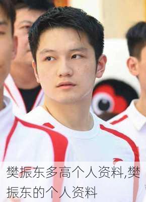 樊振东多高个人资料,樊振东的个人资料
