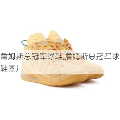 詹姆斯总冠军球鞋,詹姆斯总冠军球鞋图片