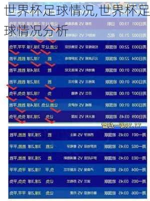 世界杯足球情况,世界杯足球情况分析