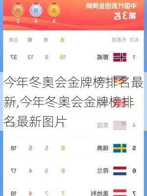 今年冬奥会金牌榜排名最新,今年冬奥会金牌榜排名最新图片