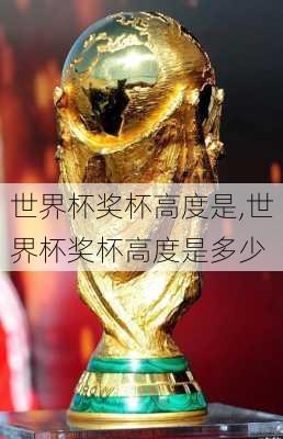世界杯奖杯高度是,世界杯奖杯高度是多少