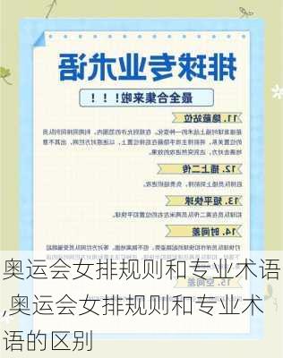 奥运会女排规则和专业术语,奥运会女排规则和专业术语的区别