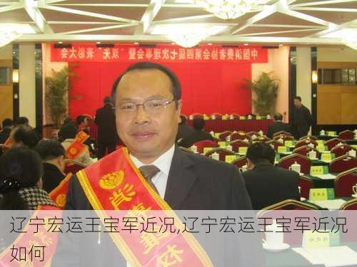 辽宁宏运王宝军近况,辽宁宏运王宝军近况如何