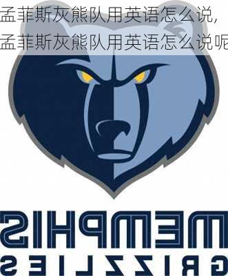 孟菲斯灰熊队用英语怎么说,孟菲斯灰熊队用英语怎么说呢