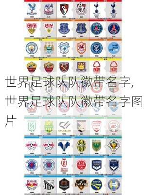 世界足球队队徽带名字,世界足球队队徽带名字图片