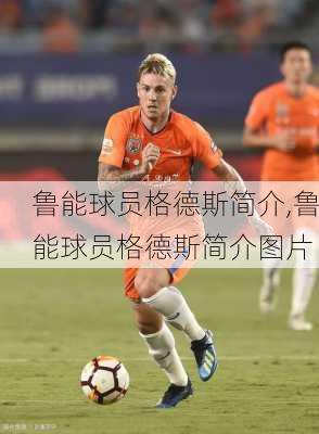 鲁能球员格德斯简介,鲁能球员格德斯简介图片