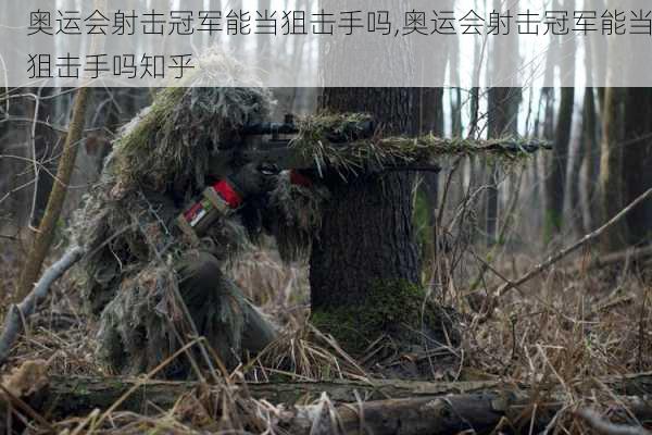 奥运会射击冠军能当狙击手吗,奥运会射击冠军能当狙击手吗知乎