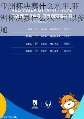 亚洲杯决赛什么水平,亚洲杯决赛什么水平可以参加
