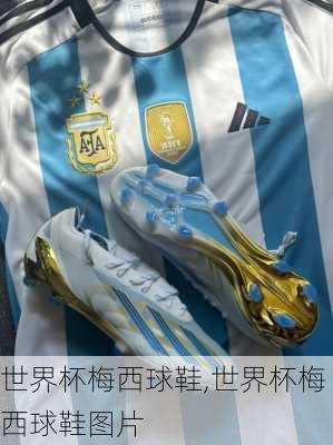 世界杯梅西球鞋,世界杯梅西球鞋图片