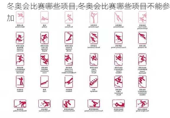 冬奥会比赛哪些项目,冬奥会比赛哪些项目不能参加