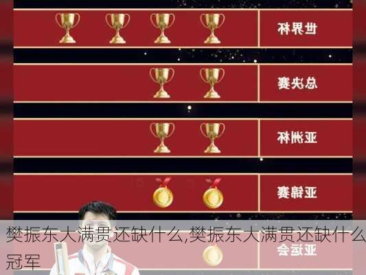 樊振东大满贯还缺什么,樊振东大满贯还缺什么冠军