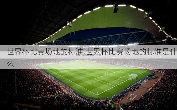 世界杯比赛场地的标准,世界杯比赛场地的标准是什么
