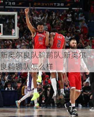 新奥尔良队鹈鹕队,新奥尔良鹈鹕队怎么样