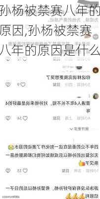 孙杨被禁赛八年的原因,孙杨被禁赛八年的原因是什么