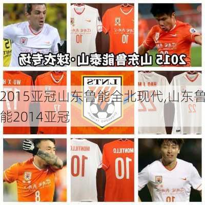 2015亚冠山东鲁能全北现代,山东鲁能2014亚冠