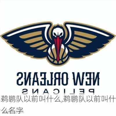 鹈鹕队以前叫什么,鹈鹕队以前叫什么名字