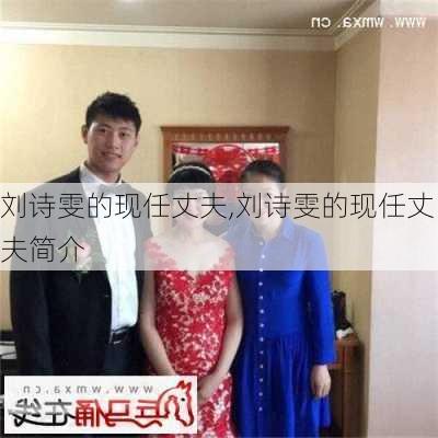 刘诗雯的现任丈夫,刘诗雯的现任丈夫简介