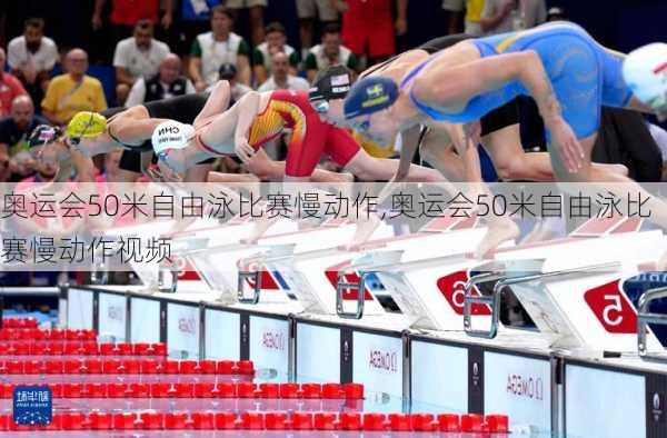 奥运会50米自由泳比赛慢动作,奥运会50米自由泳比赛慢动作视频