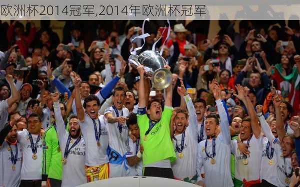 欧洲杯2014冠军,2014年欧洲杯冠军