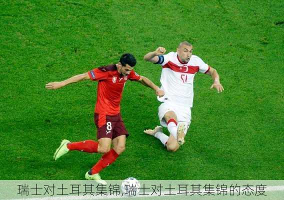 瑞士对土耳其集锦,瑞士对土耳其集锦的态度