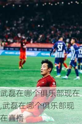 武磊在哪个俱乐部现在,武磊在哪个俱乐部现在直播