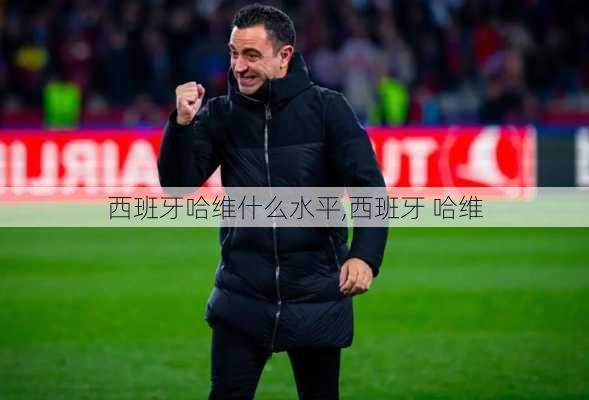 西班牙哈维什么水平,西班牙 哈维