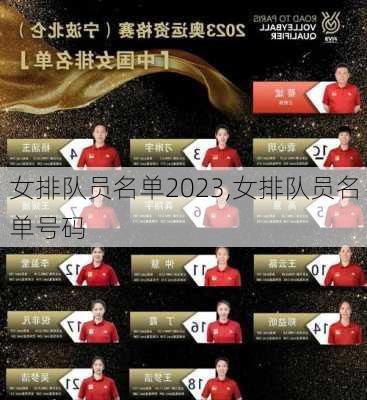 女排队员名单2023,女排队员名单号码