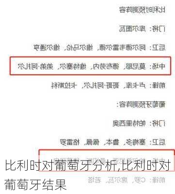 比利时对葡萄牙分析,比利时对葡萄牙结果