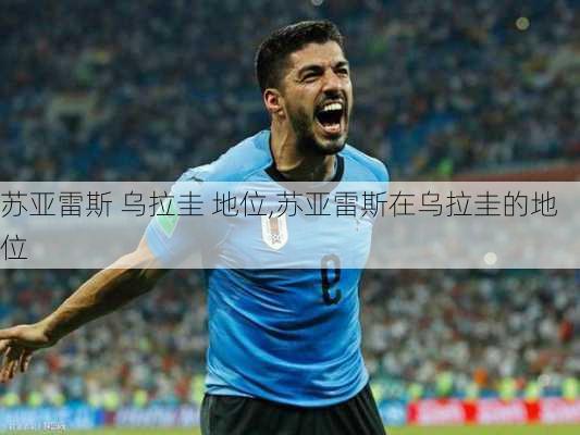 苏亚雷斯 乌拉圭 地位,苏亚雷斯在乌拉圭的地位