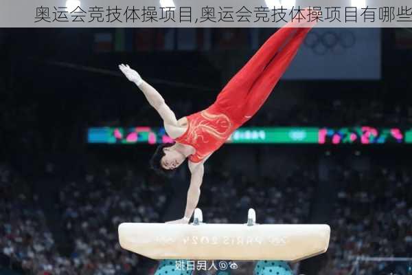 奥运会竞技体操项目,奥运会竞技体操项目有哪些