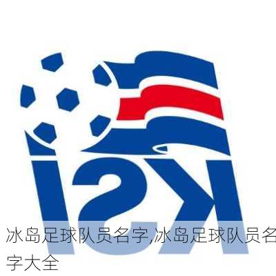 冰岛足球队员名字,冰岛足球队员名字大全