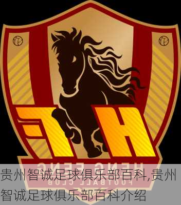 贵州智诚足球俱乐部百科,贵州智诚足球俱乐部百科介绍
