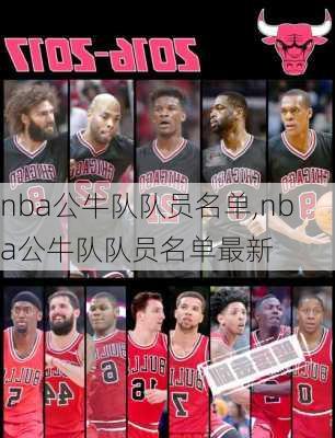 nba公牛队队员名单,nba公牛队队员名单最新