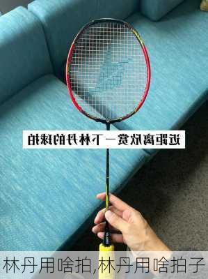 林丹用啥拍,林丹用啥拍子