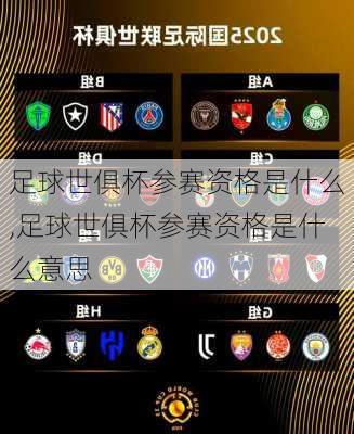 足球世俱杯参赛资格是什么,足球世俱杯参赛资格是什么意思