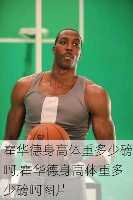 霍华德身高体重多少磅啊,霍华德身高体重多少磅啊图片